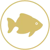 fish-logo